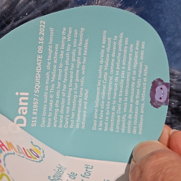 Original 🎄Squishmallows Dani 11in New To Market - Picture 4 of 6